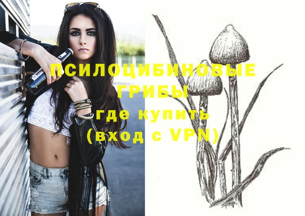 мяу мяу мука Балахна