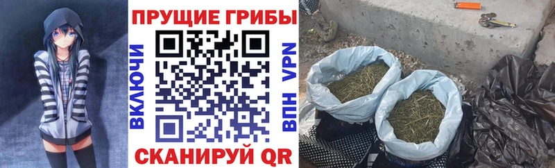 Псилоцибиновые грибы ЛСД  MEGA ССЫЛКА  Зарайск 